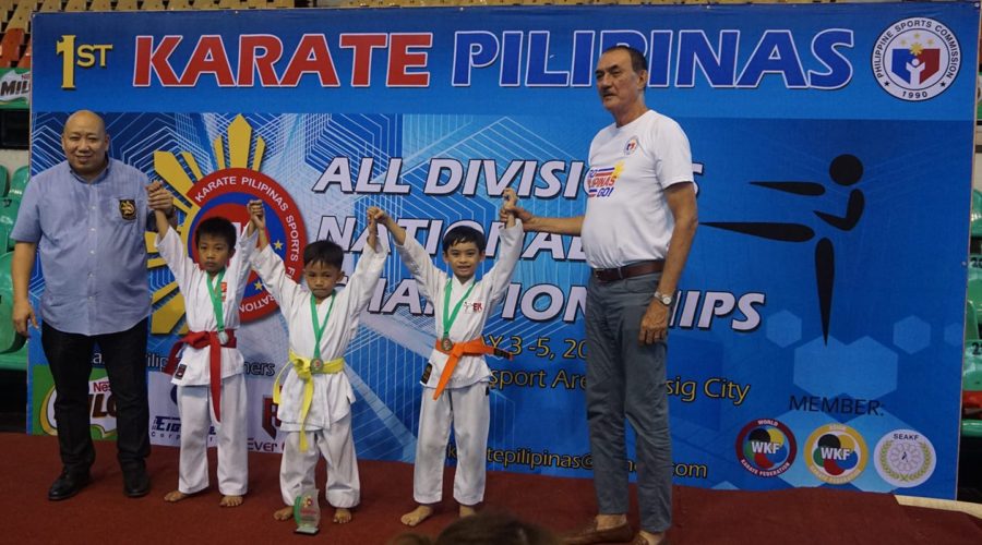 How My Son Benefited from Karate