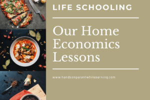 Life Schooling: Our Home Economics Lessons