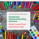 Pandemic Homeschooling Success: What I Loved From Last School Year
