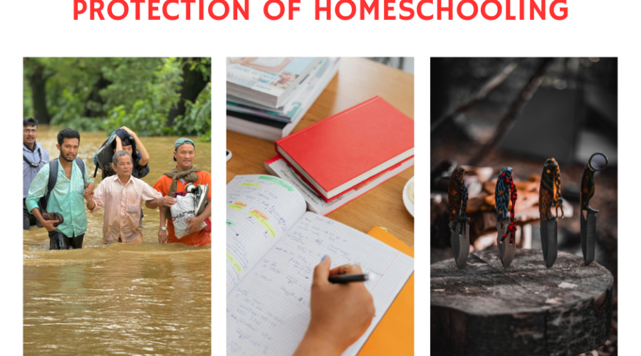 Grateful for the Blessing and Protection of Homeschooling